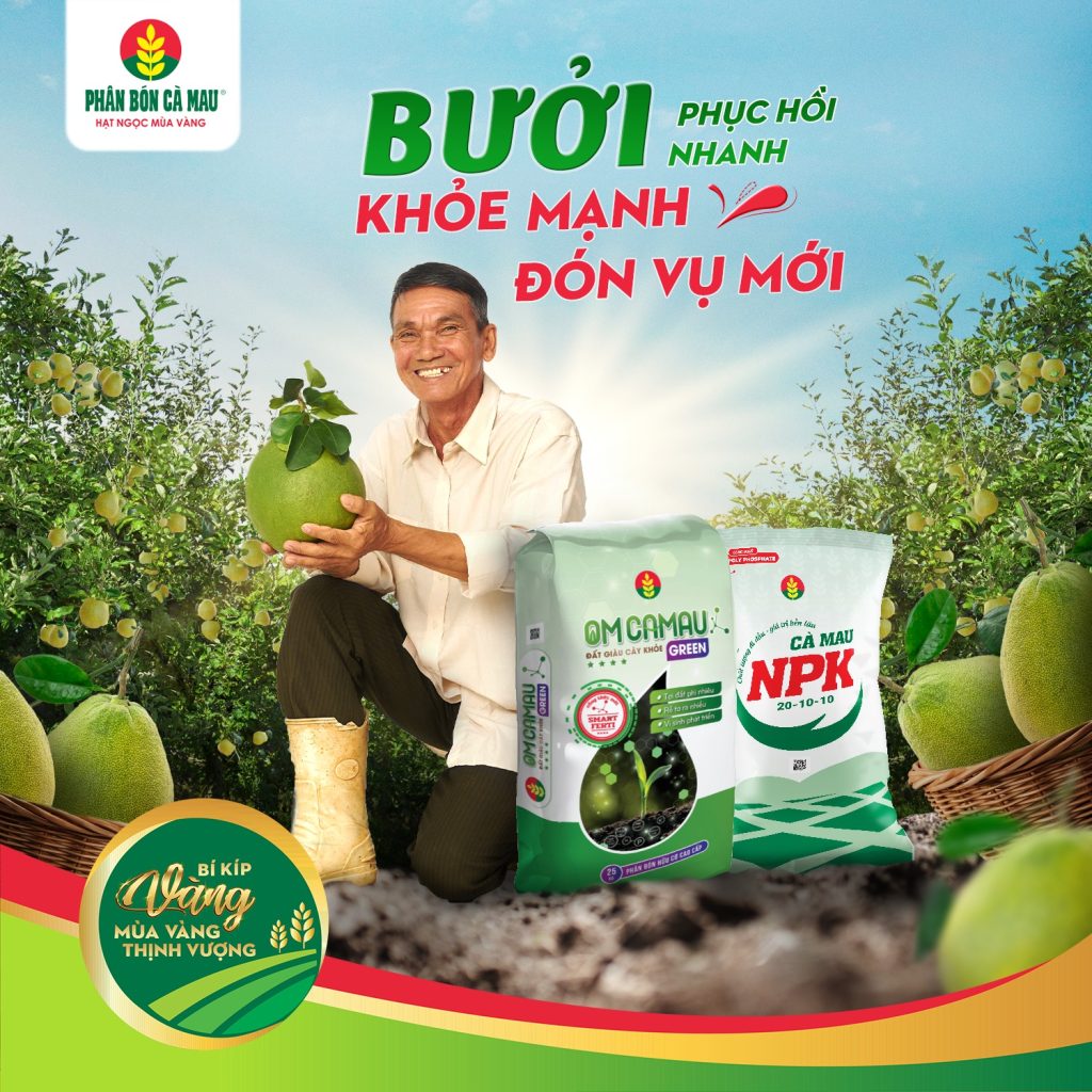 buoi-phuc-hoi-nhanh-khoe-manh-don-vu-moi