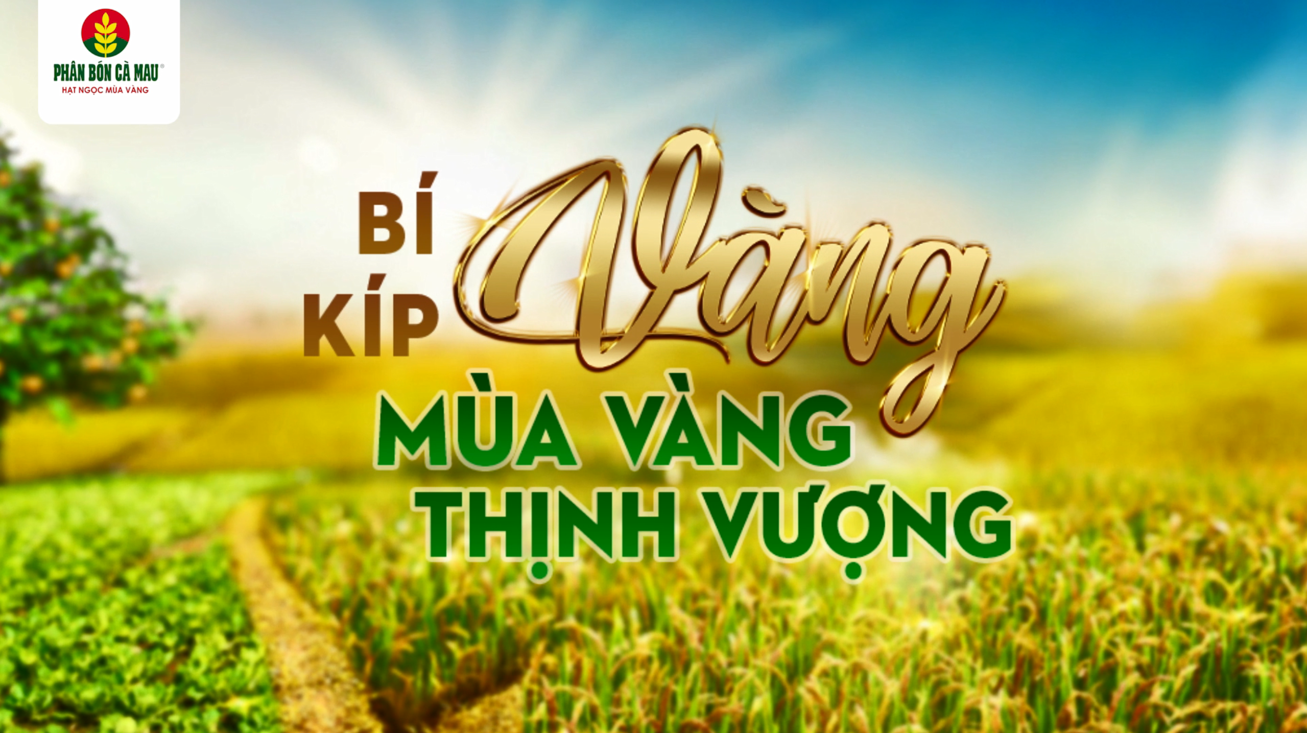 chao-don-bi-kip-vang-2023-mua-vang-thinh-vuong