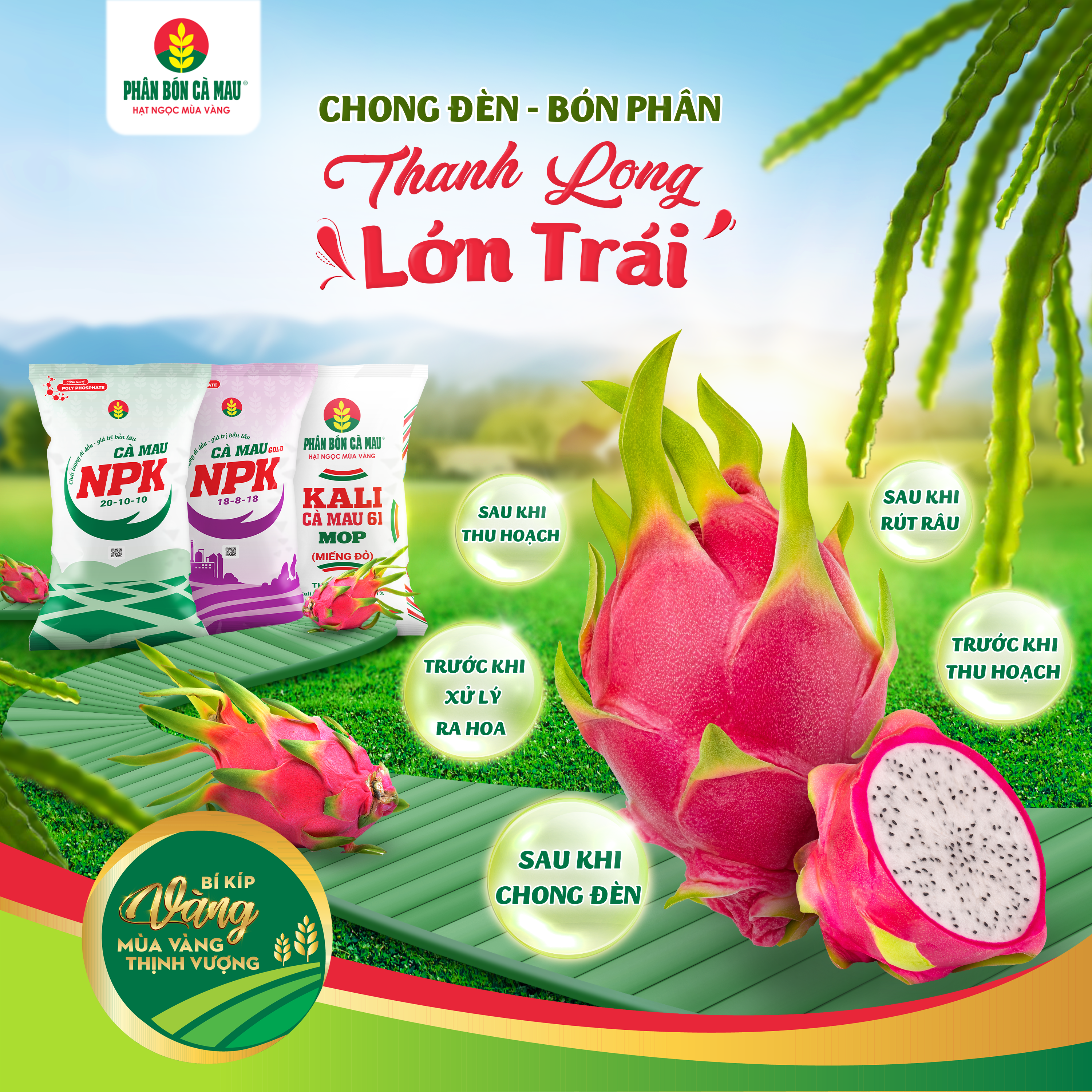 chong-den-bon-phan-thanh-long-lon-trai