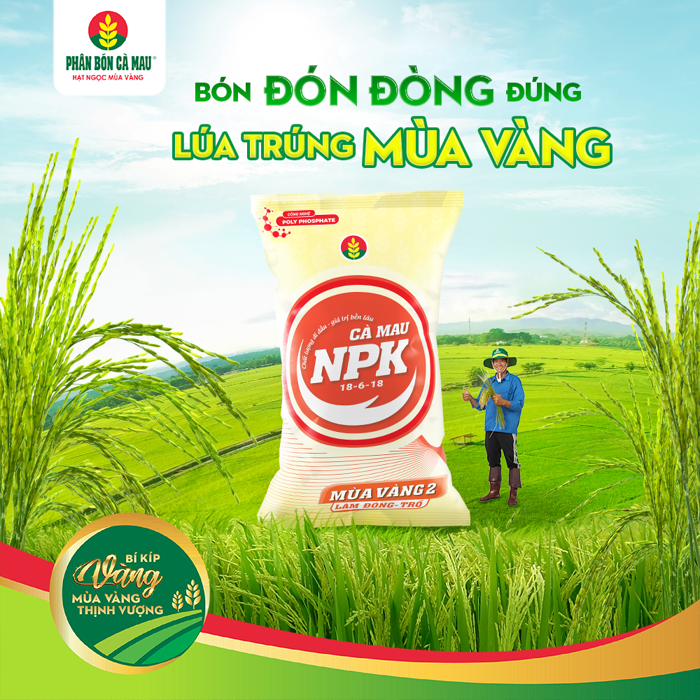 bon-don-dong-dung-lua-trung-mua-vang