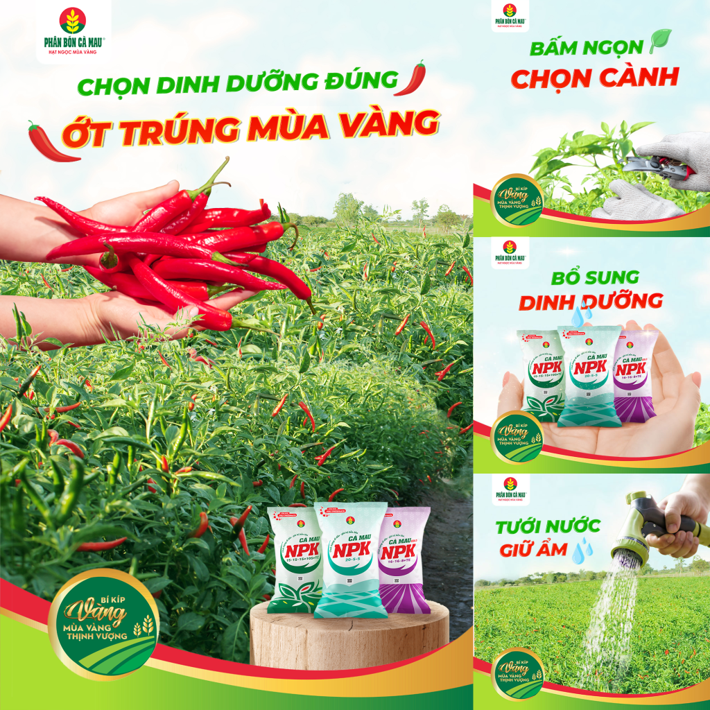 chon-dinh-duong-dung-ot-trung-mua-vang