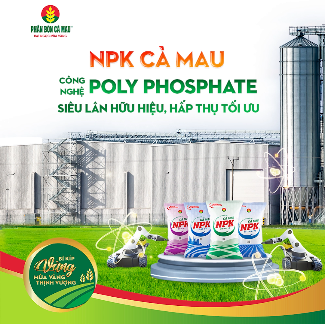 npk-ca-mau-cong-nghe-polyphosphate