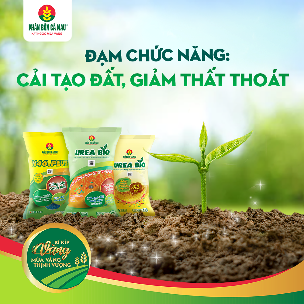 dam-chuc-nang-cai-tao-dat-giam-that-thoat
