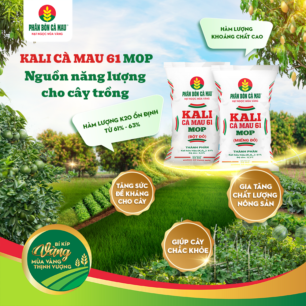 kali-ca-mau-61-mop-nguon-nang-luong-cho-cay-trong