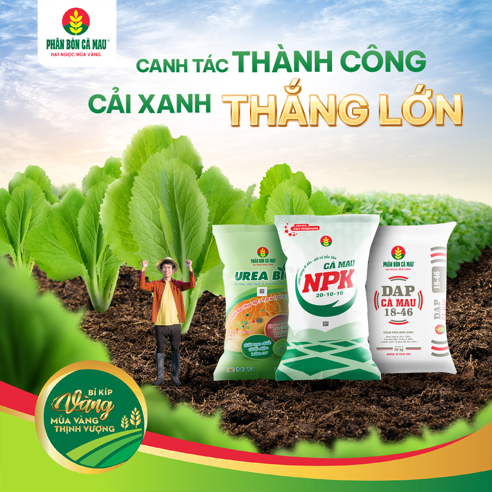 canh-tac-thanh-cong-cai-xanh-thang-lon