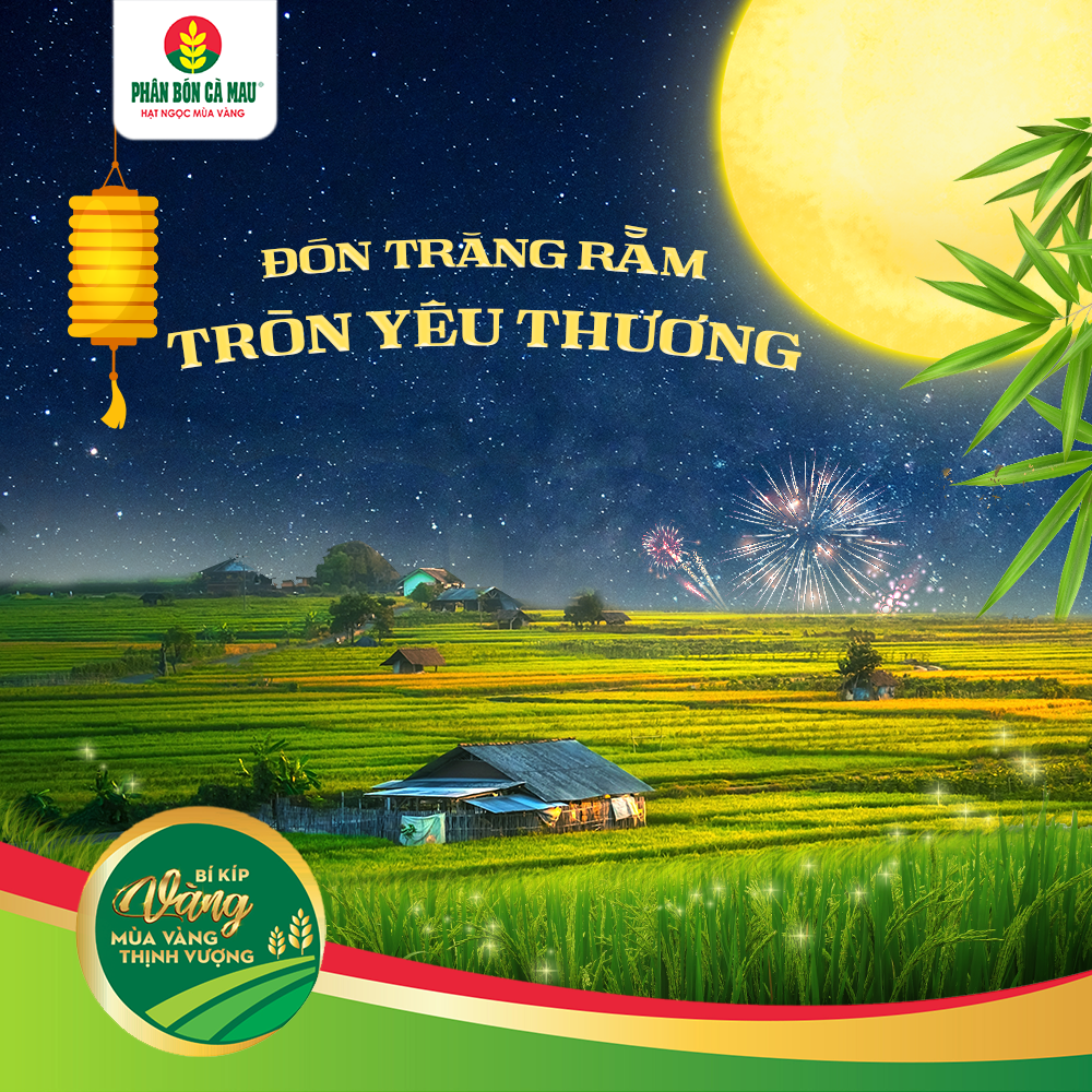 don-trang-ram-tron-yeu-thuong