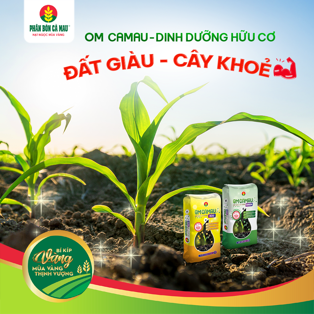 om-camau-dinh-duong-huu-co-dat-giau-cay-khoe