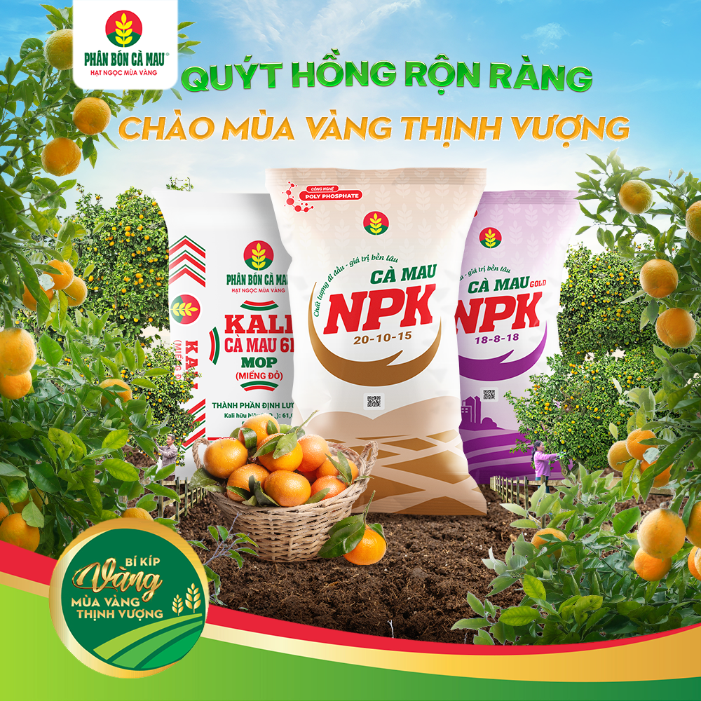 quyt-hong-ron-rang-chao-mua-vang-thinh-vuong