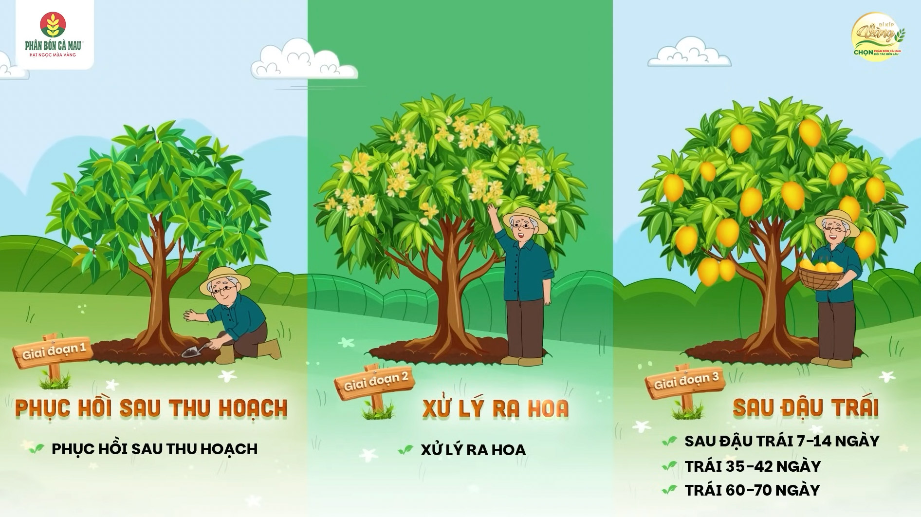 huong-dan-trong-cay-xoai